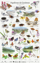 Imatge de portada local