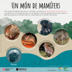 Imatge de portada local