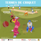 Imatge de portada local