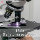 Imatge de portada local